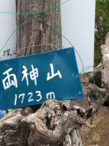 両神山 山頂3