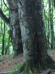 白井差新道 隠し道具